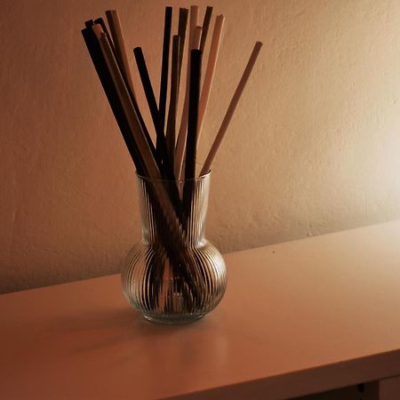 Apartment Dalla Mirella Firenze Eksteriør bilde